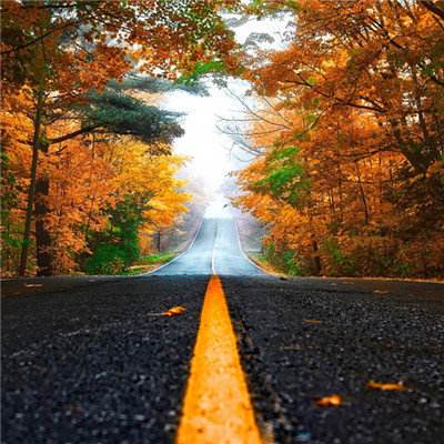 星空线上官网app下载